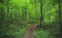 Sherwood Forest Park- 6BD/3BA on Private Ohio Land