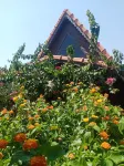 Riviera Bungalow Evleri Demre Hotel di Kaleucagiz Mahallesi
