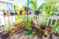 Apartamentos Turísticos El Conquistador Các khách sạn ở 