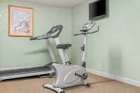 Econo Lodge, Downtown Custer Near Custer State Park and Mt Rushmore - palestra