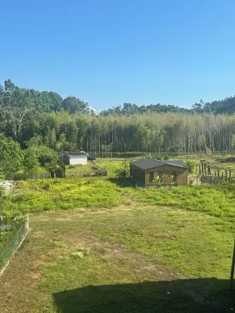 Terrace Kaprovan Отели в г. Tskaltsminda