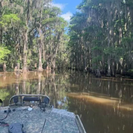 The Minnow Bucket