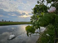 Holiday Home in Alveringem near Beach - Wifi
