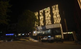 Saltstayz Premier - Naraina, Central Delhi