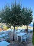 ParkİmbrosHotel