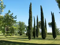 furry frinds with family home Hotels in Faenza