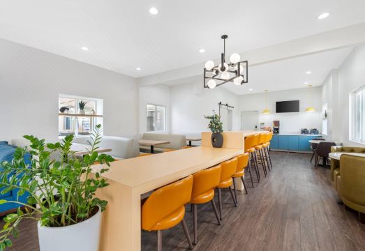 컴포트 인 코카투 니어 LAX