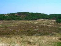 Tranquil Retreat in Klitmoller - By Traum Ferienwohnungen