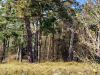 6 Person Holiday Home in Højby-by Traum - 2-Star