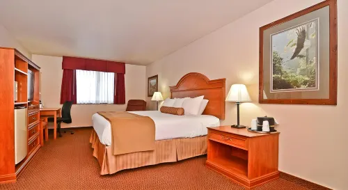 Best Western Bidarka Inn Hotel a Kachemak