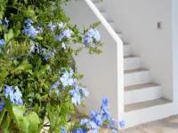 Elegant Escape in Benissa