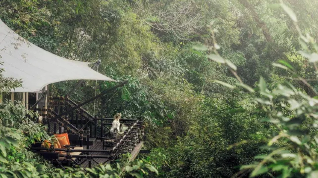 เต็นท์แบมบูเตียงทวิน