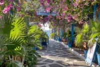 Palm Bay