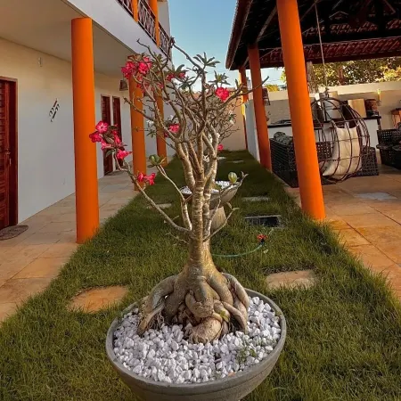 Pousada du Vento
