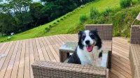 Moon Rivage Dog Resort Amagodaira - 2-Star