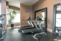 Hilton Garden Inn Boca del Rio, Veracruz - Gym