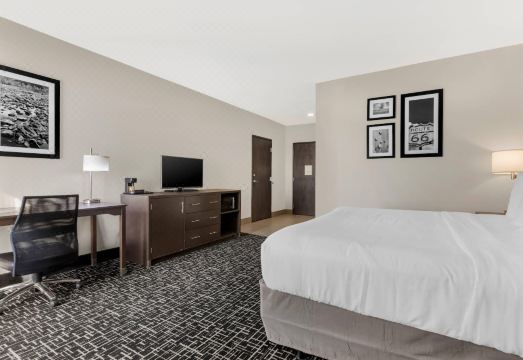 컴포트 인 & 스위트