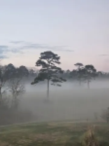 LIBERTY LODGE -- Beautiful 2-bed 2-bath Cabin in Bryant w/ Fast WiFi & AC