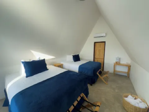 Arena Hostel Hotels in 