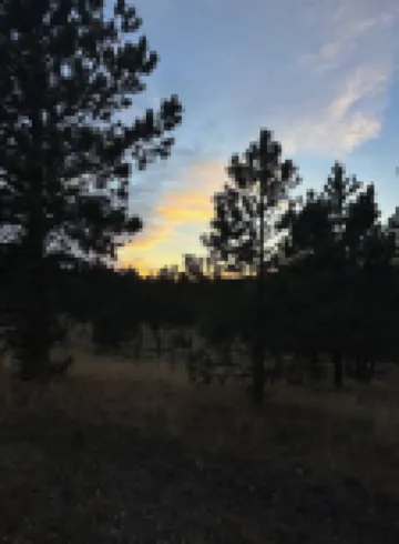 Fun 3-bedroom cabin Close to Keystone, Hill City, Rushmore, Pactola & ATV Trails