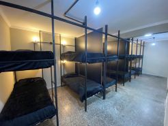 Urban Jungle Hostel