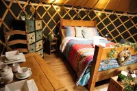 Holt Woodland Glamping - Shepherd Huts & Yurts Dog Friendly - 2-Star