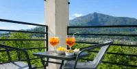 Hotel Nessi Locarno - Mountain view