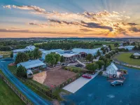 Stable Craft Brewing & Cidery