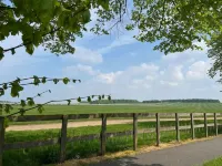 1 BR Apart 14 min Walk to Tattersalls EV Charging -  Ferienwohnungen