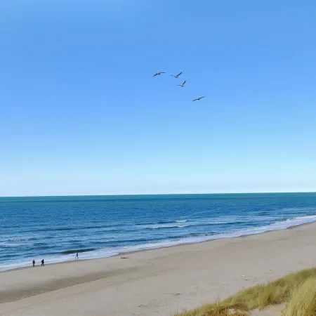 "Jannike" - 100m from the Sea