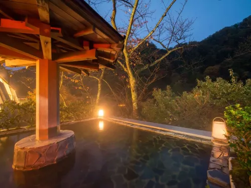 Hotel Kurobe - 3-Star