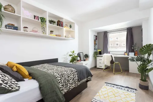 Student Only New Medlock House - واي فاي