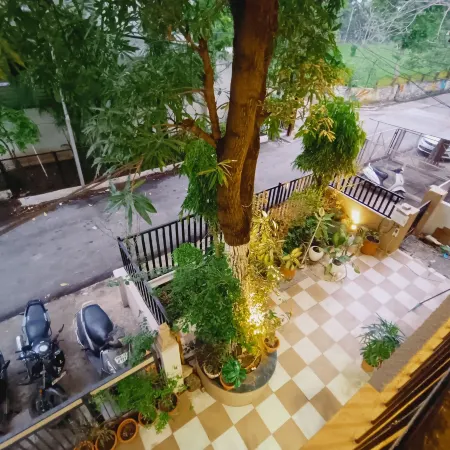 Mango Tree 3BHK Apartment