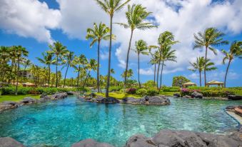 Grand Hyatt Kauai Resort and Spa