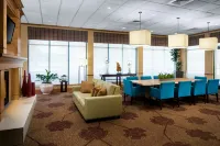Hilton Garden Inn Atlanta Airport/Millennium Center - bar