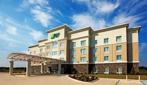 Holiday Inn Express & Suites BOSSIER CITY by IHG - Pool
