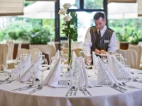 بوكينج هوتل آند سبا Hotels near برونافيتسا