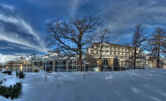 Steigenberger Hotel Der Sonnenhof