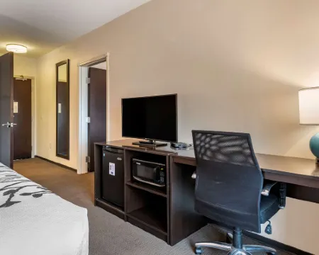 摩押-近拱門國家公園舒眠套房酒店 摩押酒店