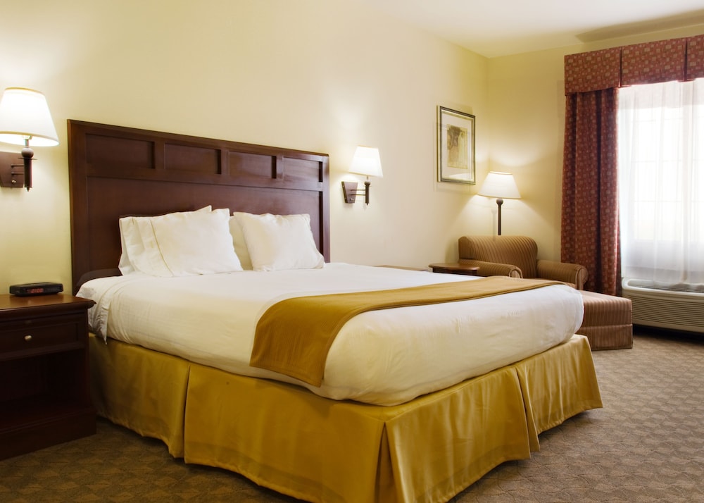 Holiday Inn Express & Suites Levelland, an Ihg Hotel