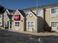 Red Roof Inn Springfield, MO Hotels in Springfield