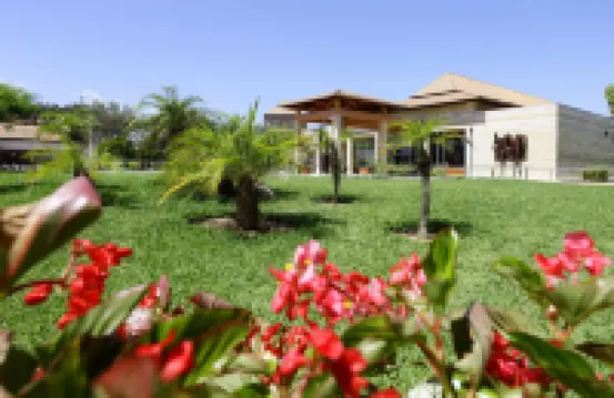 Zafiro Mallorca & Spa