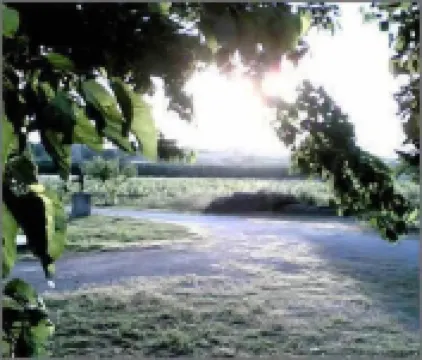 La Natura Agriturismo e Campeggio