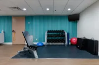 Holiday Inn Express & Suites ATLANTA DOWNTOWN by IHG - palestra