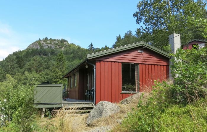 Haugen