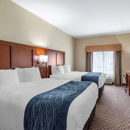 Comfort Inn & Suites Carbondale University Area