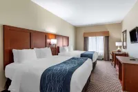 Comfort Inn & Suites Carbondale University Area