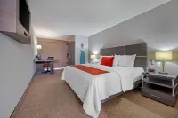 Hotel BeWow Querétaro