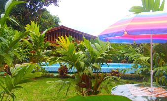 Hotel Heliconias Nature Inn & Hot Springs