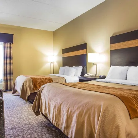 Comfort Inn & Suites at Stone Mountain